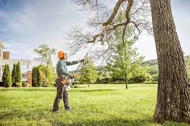 Best Seasonal Cleanup (Spring/Fall)  in Bel Air North, MD