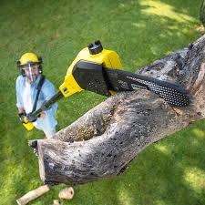 Best Arborist Consultation Services  in Bel Air North, MD